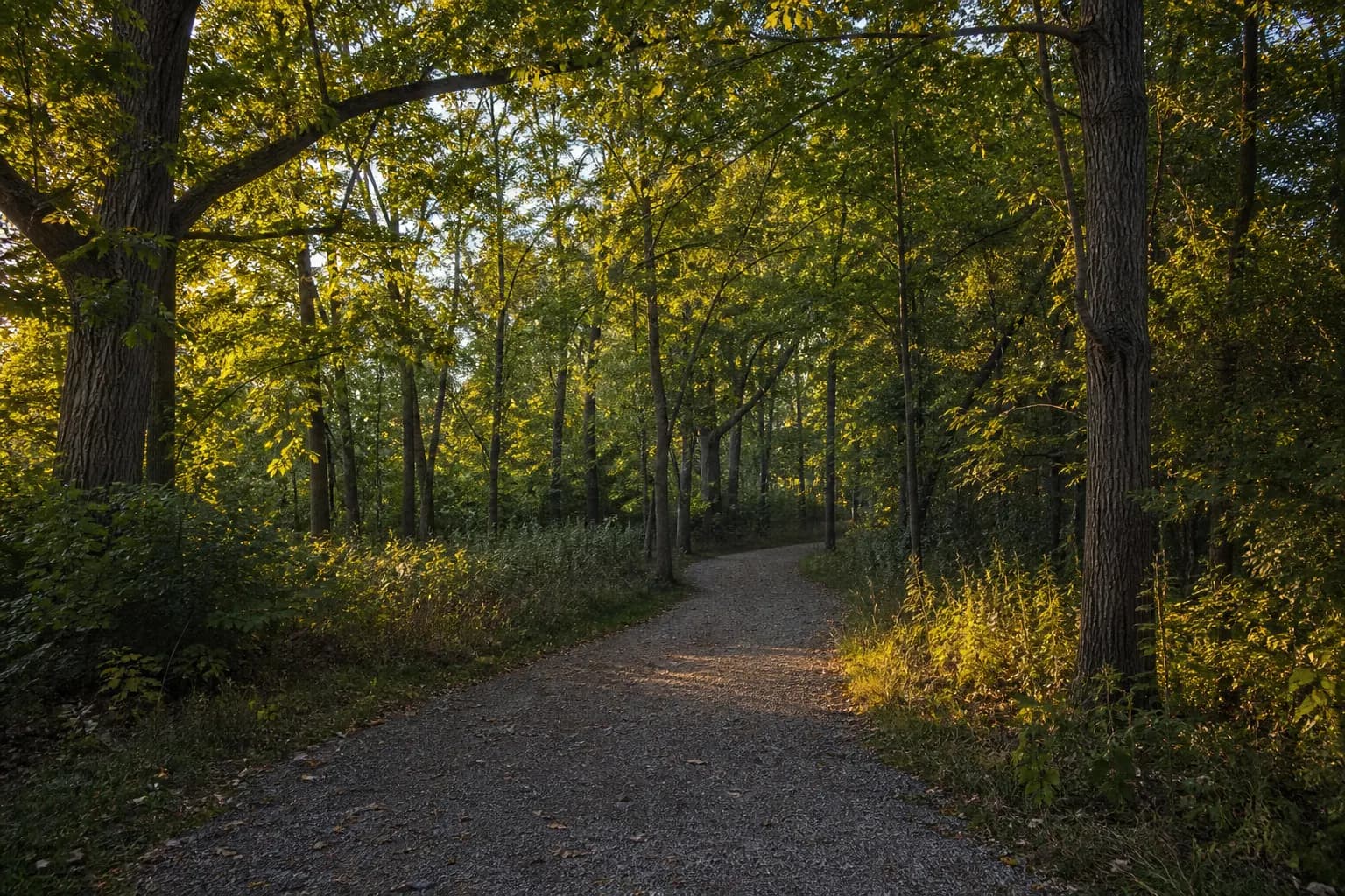 Preserve North Oakville prices context — oak woodland trail in North Oakville near Dundas Street West and Sixth Line